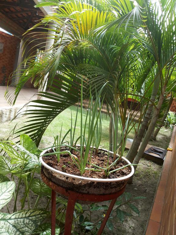 Hotel Toca Do Vaidoso Barreirinhas Exterior foto